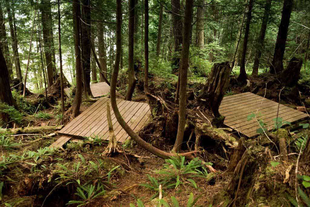 Shushartie Bay Campsite on the North Coast Trail 