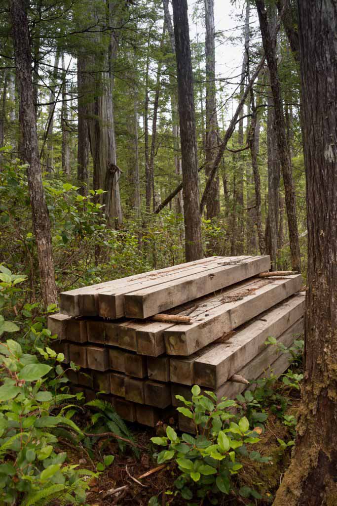 building materials left unused on the North Coast Trail