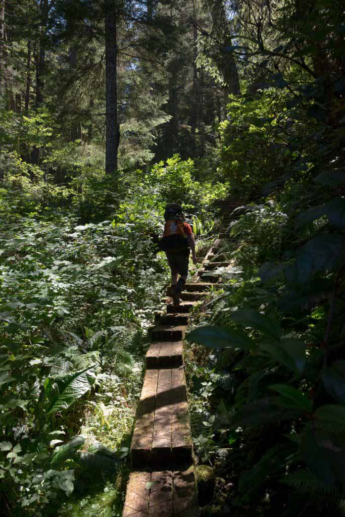 long-leg hill on the North Coast Trail