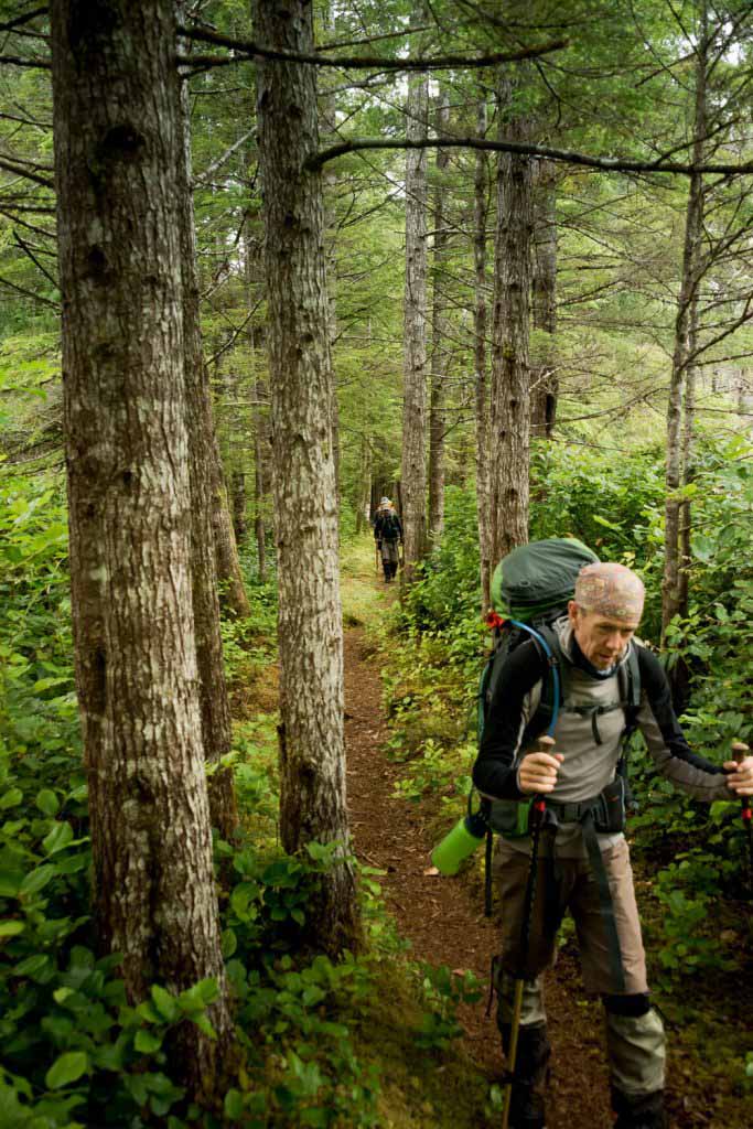 Cape Scott Provincial Par's trails are easy to walk 