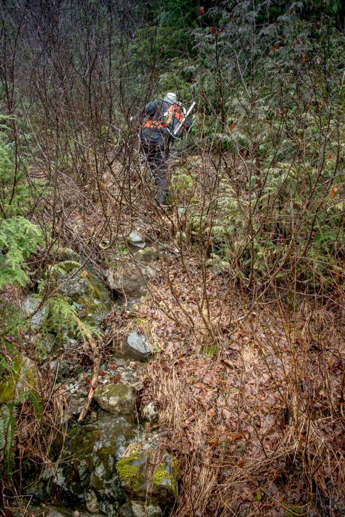 The route up the dry waterway to Mt Buttle The route up the dry waterway to Mt Buttle