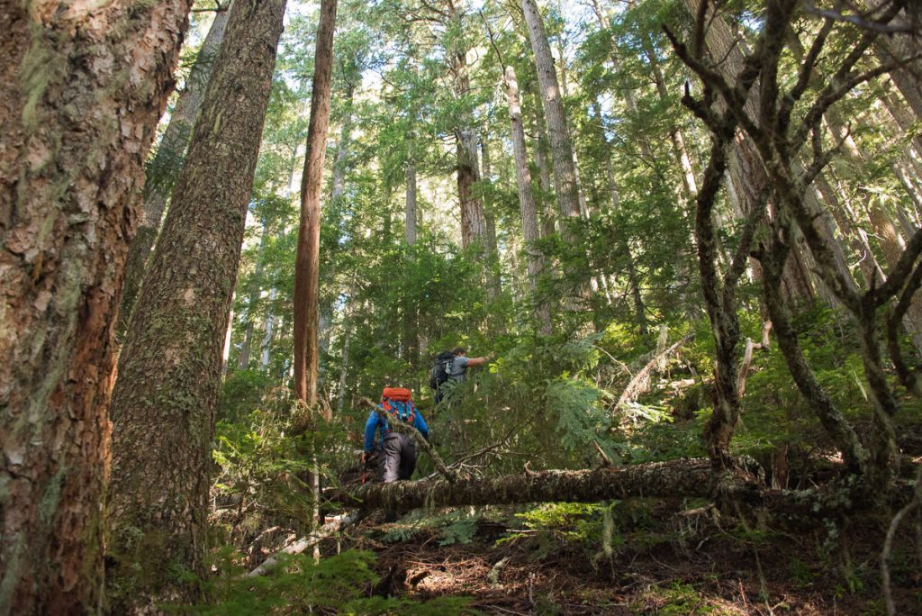 hiking and Mountaineering on Vancouver Island