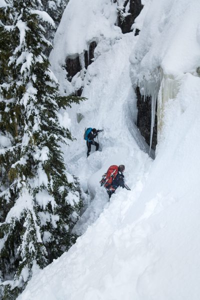 Hiking to Springer Peak on Vancouver Island