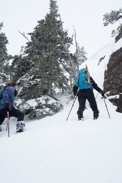 Hiking to Springer Peak on Vancouver Island