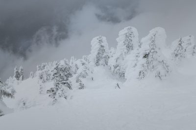 Hiking to Springer Peak on Vancouver Island