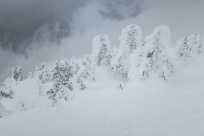 Hiking to Springer Peak on Vancouver Island