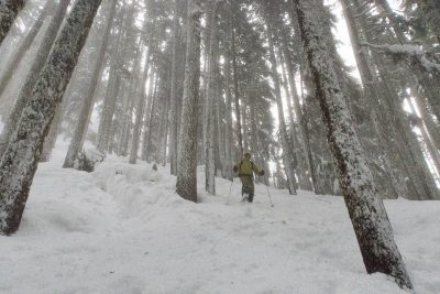 Hiking to Springer Peak on Vancouver Island