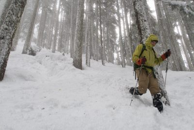 Hiking to Springer Peak on Vancouver Island