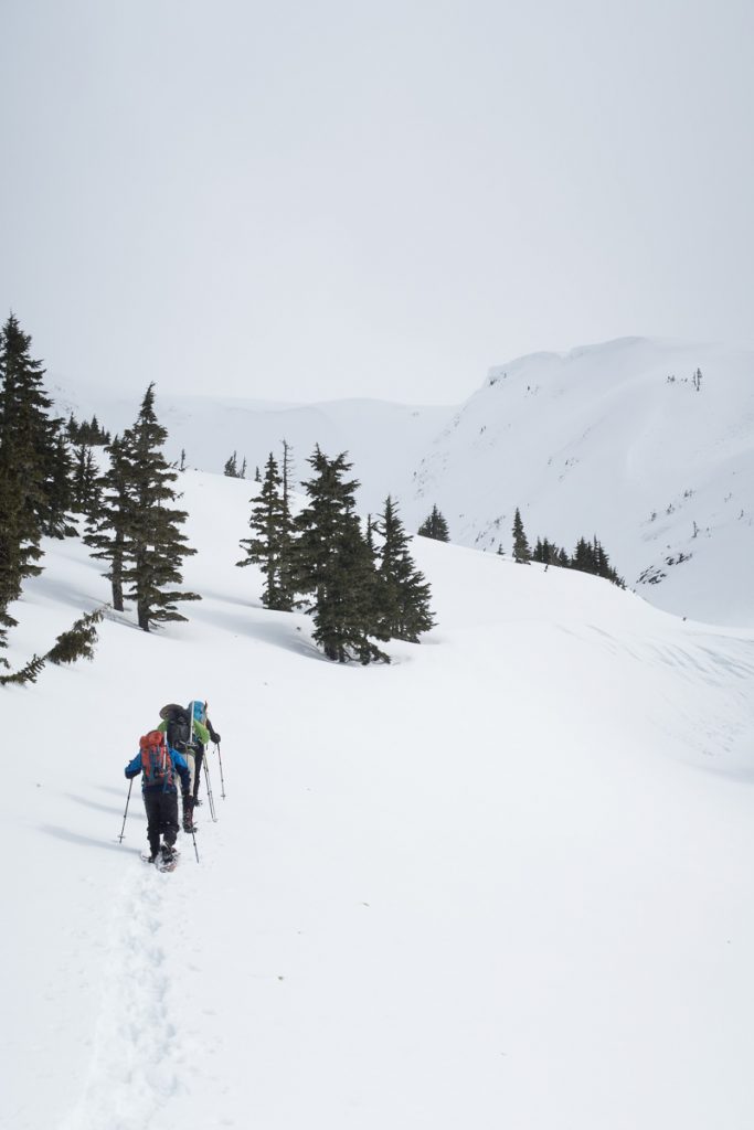 hiking, mountaineering-vancouver island, snowshoe, island mountain ramblers