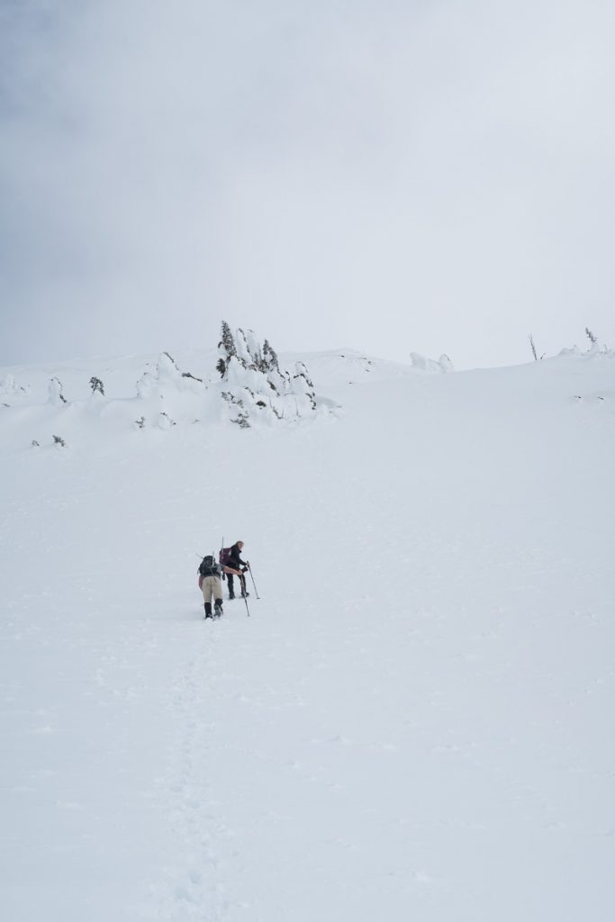 hiking, mountaineering-vancouver island, snowshoe, island mountain ramblers