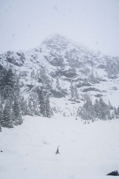 snowshoeing Mount Elliot