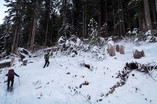 stepping off the road and onto the trail to Adder Mountain
