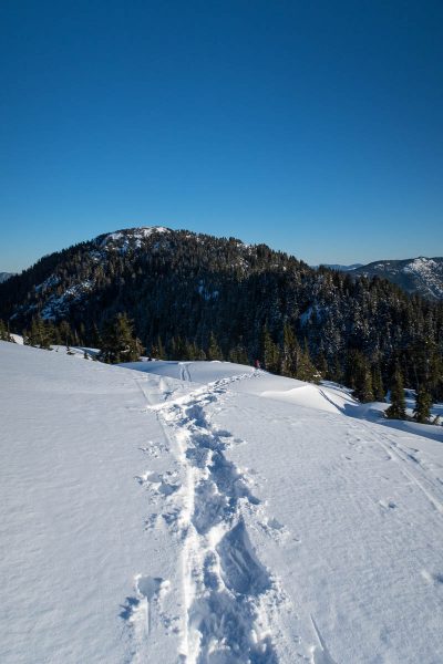 the snowshoe track, Mount Gibson in the background