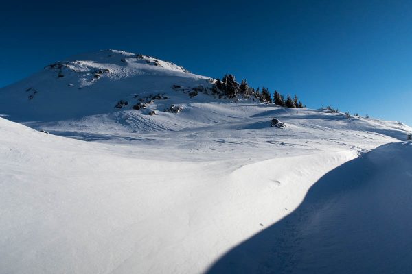 only a small hill between me and the summit of Adder Mountain