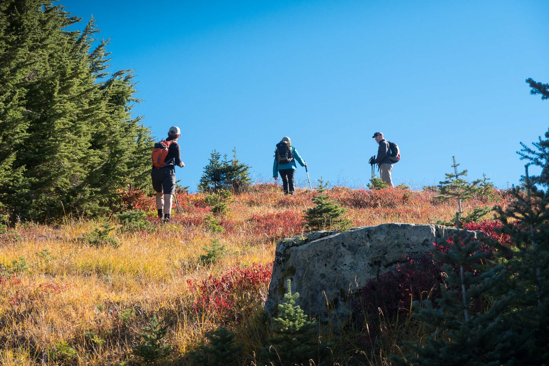 Green Mountain A Fall Hike Near Nanaimo Explorington