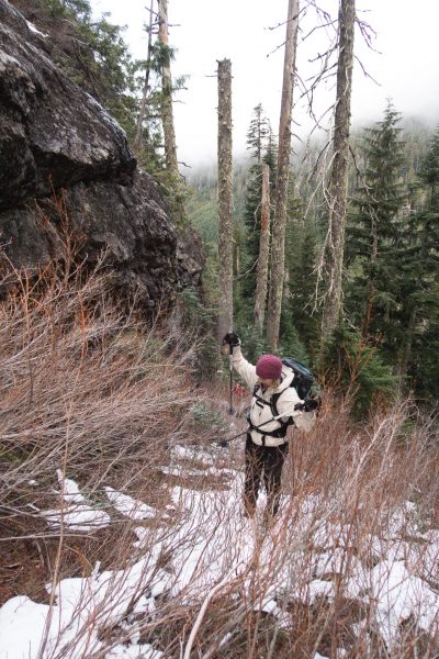 hiking to Big Tree Peak in the Prince of Wales Range