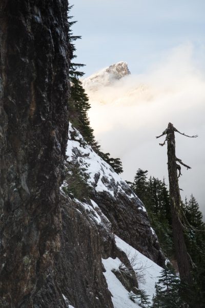 hiking to Big Tree Peak in the Prince of Wales Range