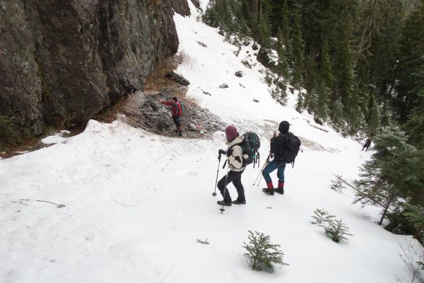 hiking to Big Tree Peak in the Prince of Wales Range