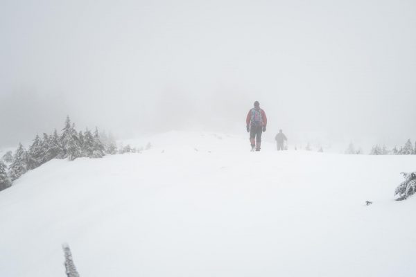 hiking to Big Tree Peak in the Prince of Wales Range