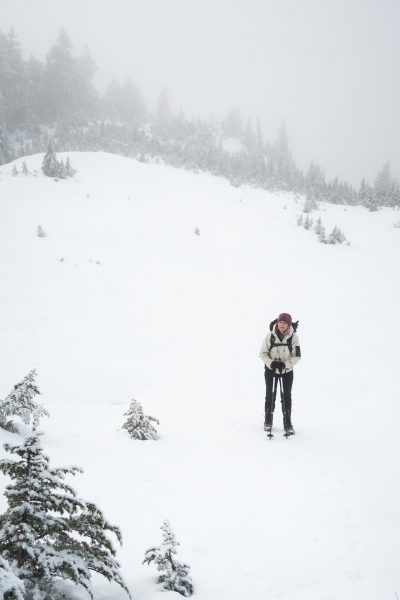 hiking to Big Tree Peak in the Prince of Wales Range