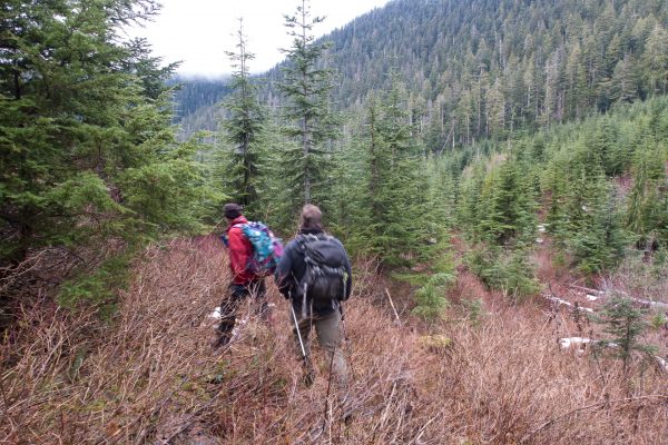 hiking to Big Tree Mountain in the Prince of Wales Range